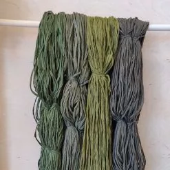 Matonkudelajitelma 5-6 Kg -Kotitalous Soldes Boutique gekko web 1 1