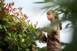 Stihl HSA 56 Akkupensasleikkuri -Kotitalous Soldes Boutique hsa56 action xv