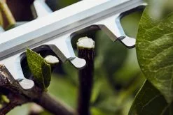 Stihl HSA 56 Akkupensasleikkuri -Kotitalous Soldes Boutique hsa56 closeup i