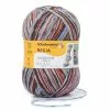 Schachenmayr Regia 4-ply Color Design Line 100g -Kotitalous Soldes Boutique regia 4 arne carlos 03655 1